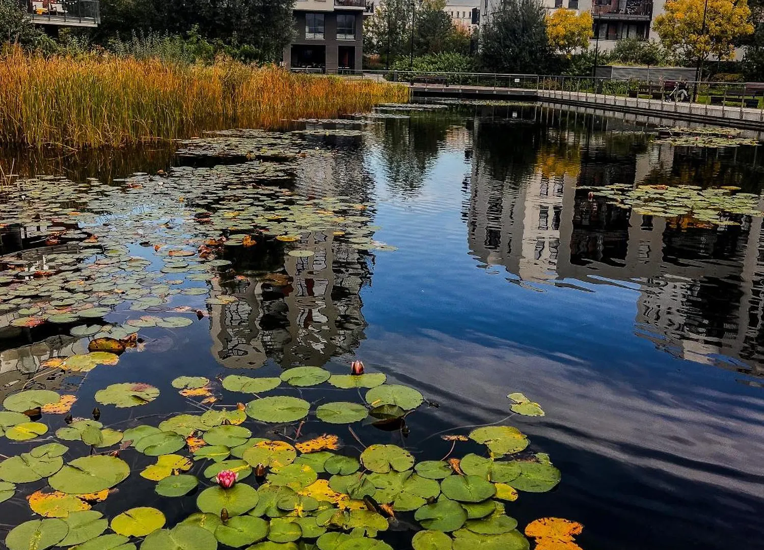 Lake Park Apartament With Free Parking Airport Netflix Apartment Warsaw